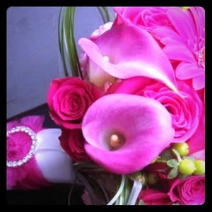 Meet your Posher, Jodillia